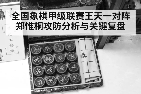 chinese chess pieces